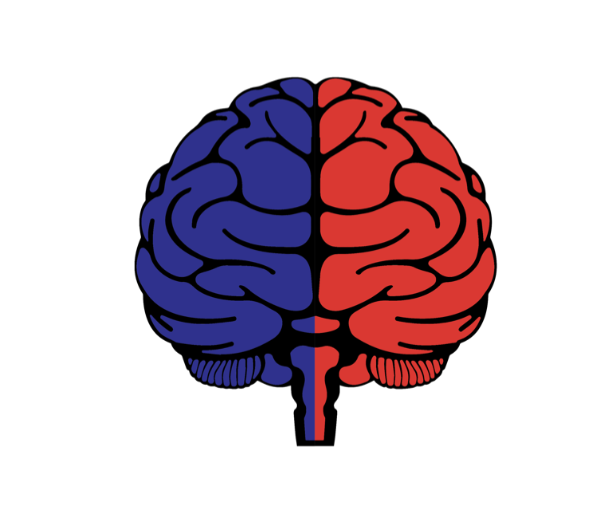 A political brain